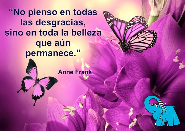 Una Enseñanza de Ana Frank en la Frase del Día del Elefante Azul de Avilés